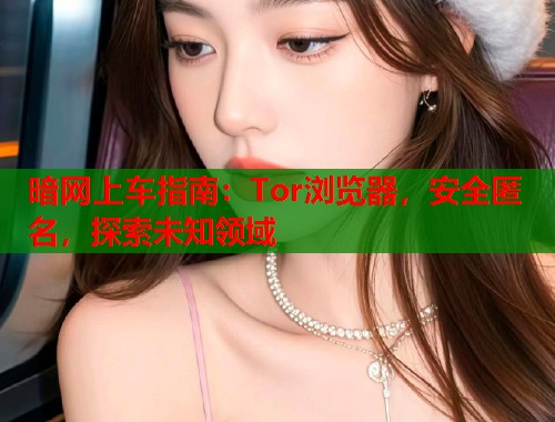 暗网上车指南：Tor浏览器，安全匿名，探索未知领域  第1张