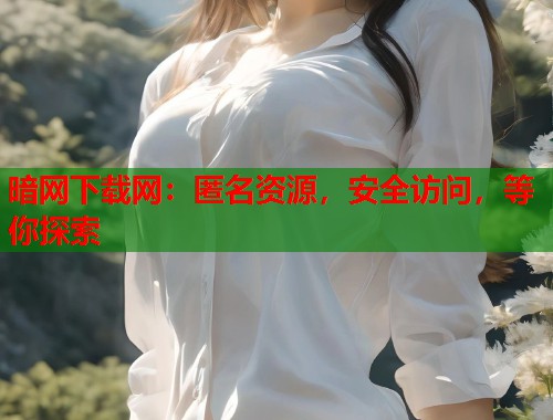 暗网下载网：匿名资源，安全访问，等你探索  第2张