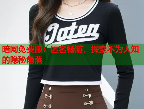 暗网免费版：匿名畅游，探索不为人知的隐秘角落  第1张