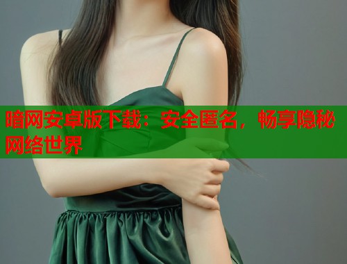 暗网安卓版下载：安全匿名，畅享隐秘网络世界  第2张