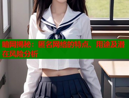 暗网揭秘：匿名网络的特点、用途及潜在风险分析  第1张