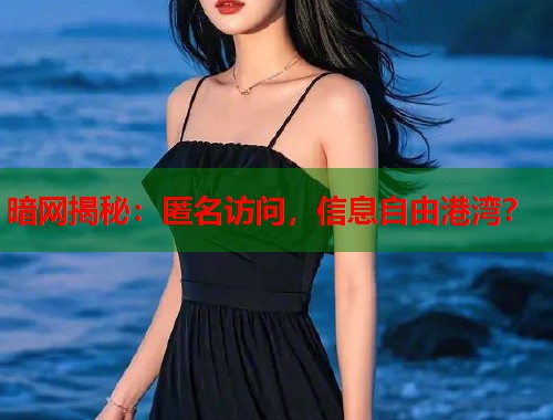 暗网揭秘：匿名访问，信息自由港湾？  第1张