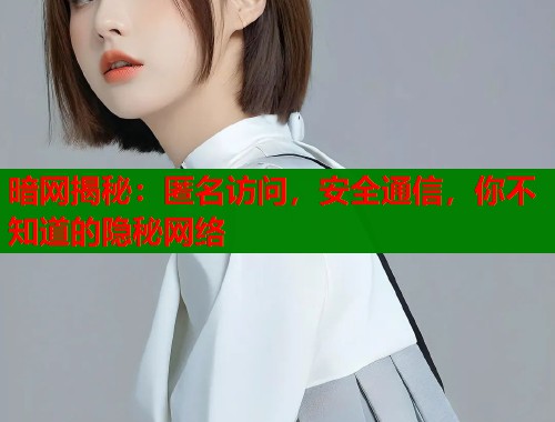 暗网揭秘：匿名访问，安全通信，你不知道的隐秘网络  第2张