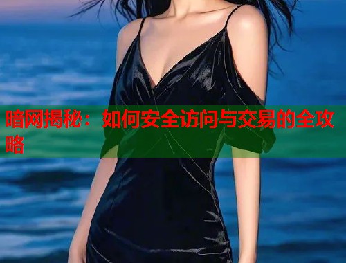 暗网揭秘：如何安全访问与交易的全攻略  第1张