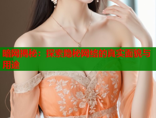 暗网揭秘：探索隐秘网络的真实面貌与用途  第1张