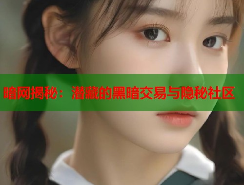 暗网揭秘：潜藏的黑暗交易与隐秘社区  第1张