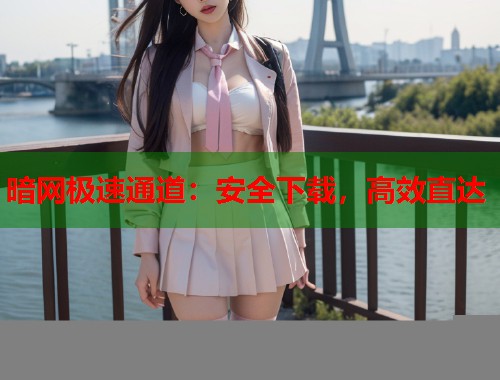 暗网极速通道：安全下载，高效直达  第2张