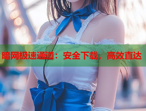 暗网极速通道：安全下载，高效直达  第1张