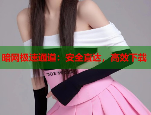 暗网极速通道：安全直达，高效下载  第1张