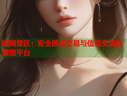 暗网楚区：安全匿名交易与信息交流的理想平台  第1张