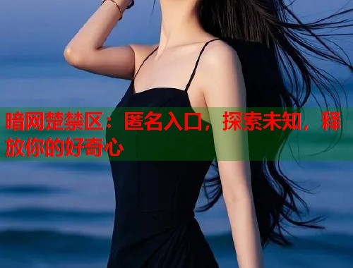 暗网楚禁区：匿名入口，探索未知，释放你的好奇心  第2张
