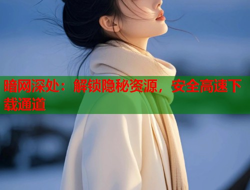 暗网深处：解锁隐秘资源，安全高速下载通道  第2张
