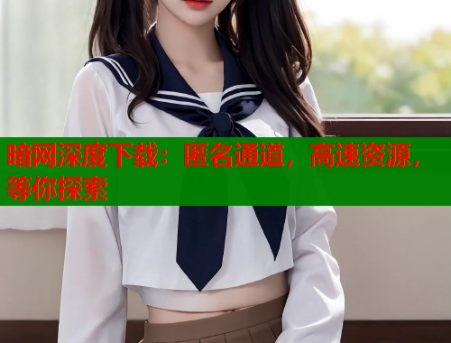 暗网深度下载：匿名通道，高速资源，等你探索  第2张