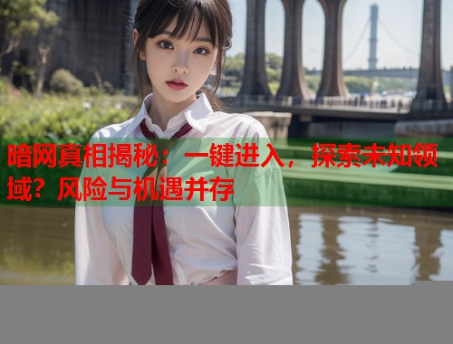 暗网真相揭秘：一键进入，探索未知领域？风险与机遇并存  第1张