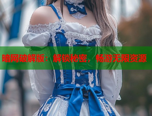 暗网破解版：解锁秘密，畅游无限资源  第1张