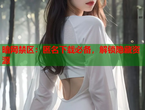 暗网禁区：匿名下载必备，解锁隐藏资源  第1张