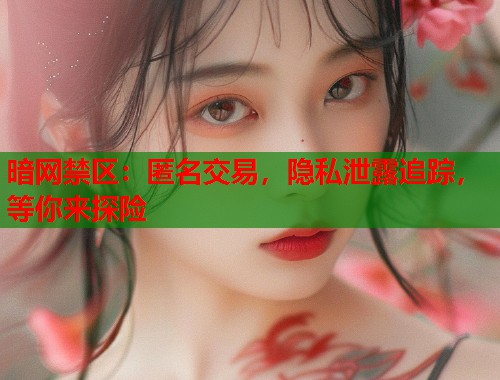 暗网禁区：匿名交易，隐私泄露追踪，等你来探险  第1张