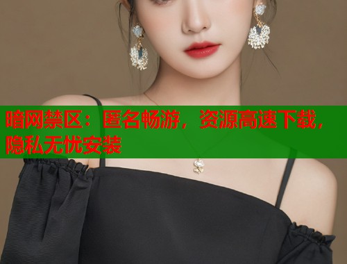暗网禁区：匿名畅游，资源高速下载，隐私无忧安装  第1张