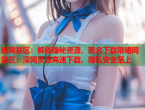 暗网禁区：解锁隐秘资源，匿名下载限暗网禁区：深网资源高速下载，隐私安全至上  第1张