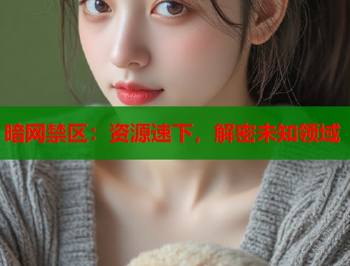 暗网禁区：资源速下，解密未知领域  第1张