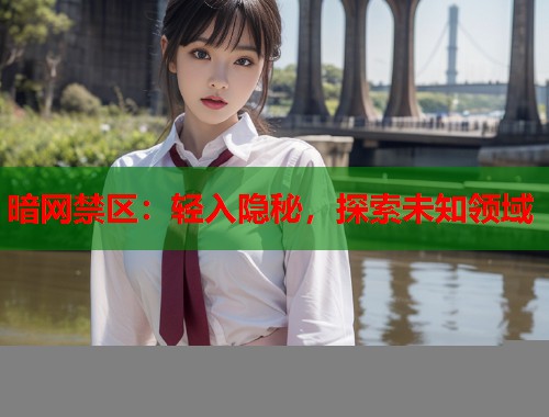 暗网禁区：轻入隐秘，探索未知领域  第1张