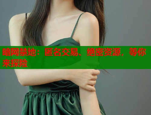 暗网禁地：匿名交易、绝密资源，等你来探险  第1张