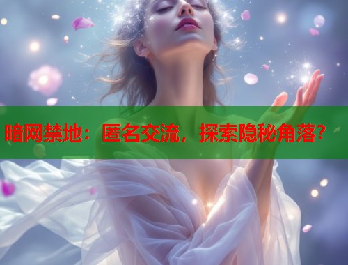 暗网禁地：匿名交流，探索隐秘角落？  第2张