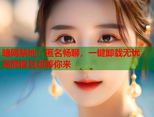 暗网禁地：匿名畅聊，一键卸载无忧，高颜值互动等你来  第1张