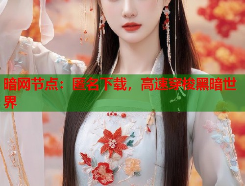 暗网节点：匿名下载，高速穿梭黑暗世界  第1张