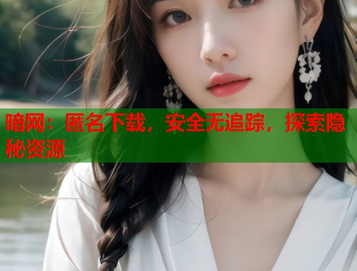 暗网：匿名下载，安全无追踪，探索隐秘资源  第1张