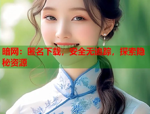 暗网：匿名下载，安全无追踪，探索隐秘资源  第2张