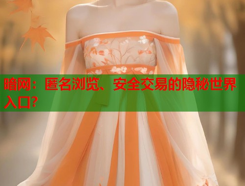 暗网：匿名浏览、安全交易的隐秘世界入口？  第1张