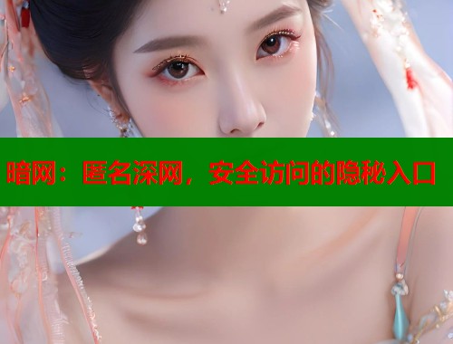 暗网：匿名深网，安全访问的隐秘入口  第1张