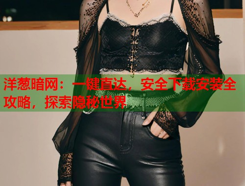 洋葱暗网：一键直达，安全下载安装全攻略，探索隐秘世界  第1张