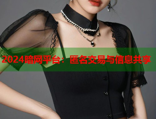 2024暗网平台：匿名交易与信息共享  第1张