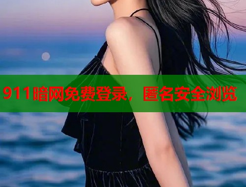 911暗网免费登录，匿名安全浏览  第1张
