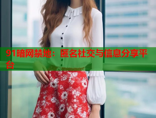 91暗网禁地：匿名社交与信息分享平台  第1张