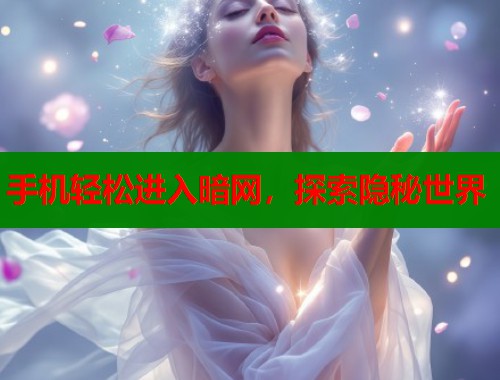 手机轻松进入暗网，探索隐秘世界  第1张