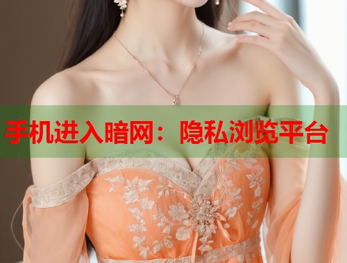 手机进入暗网：隐私浏览平台  第2张