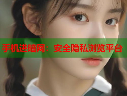 手机进暗网:安全隐私浏览平台 第2张 手机进暗网:安全隐私浏览平台 第2张