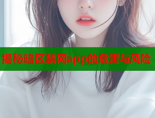揭秘暗区禁网app的危害与风险  第1张