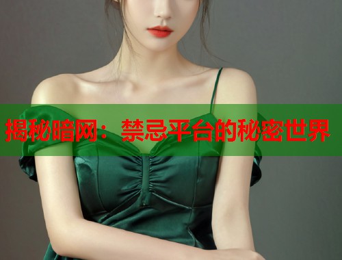 揭秘暗网：禁忌平台的秘密世界  第1张