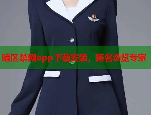暗区禁网app下载安装，匿名浏览专家  第1张