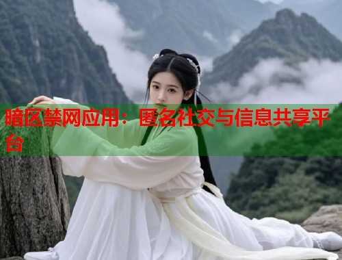 暗区禁网应用：匿名社交与信息共享平台  第1张