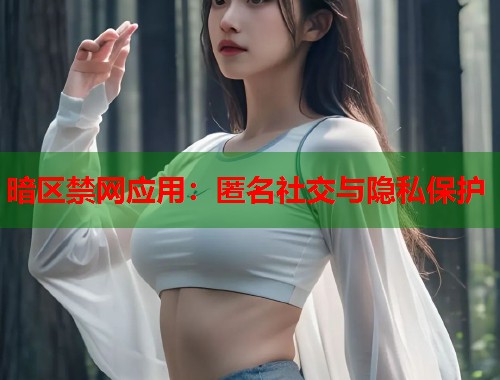 暗区禁网应用：匿名社交与隐私保护  第1张