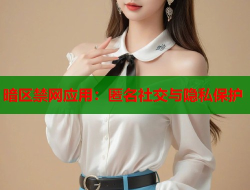 暗区禁网应用：匿名社交与隐私保护  第2张