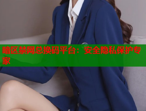 暗区禁网总换码平台：安全隐私保护专家  第1张