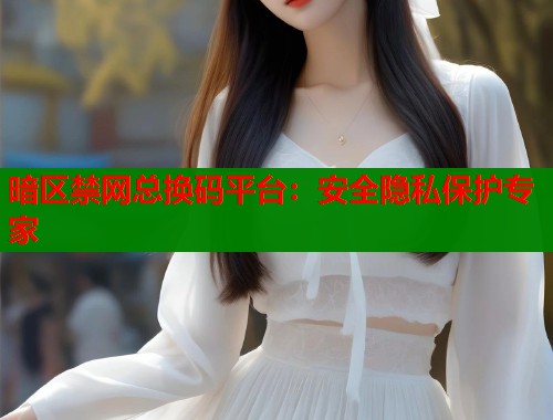 暗区禁网总换码平台：安全隐私保护专家  第2张
