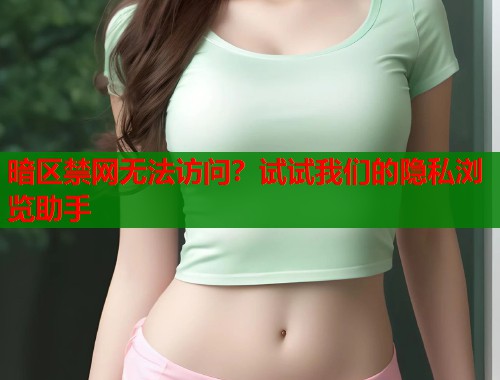 暗区禁网无法访问？试试我们的隐私浏览助手  第1张