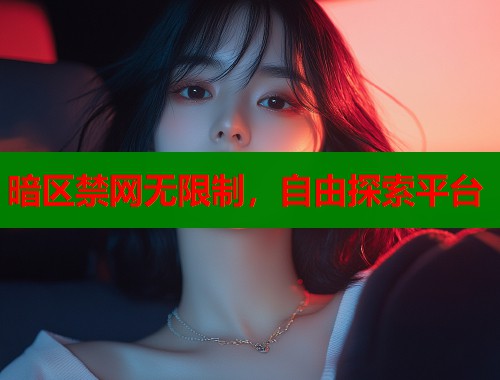 暗区禁网无限制，自由探索平台  第1张
